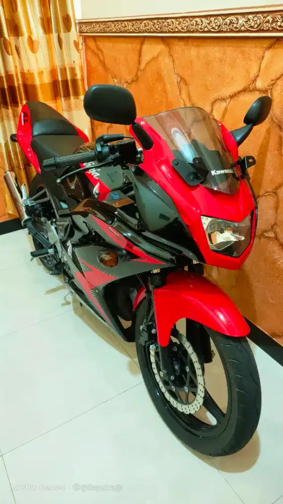 Ninja rr 2014 plat ag
