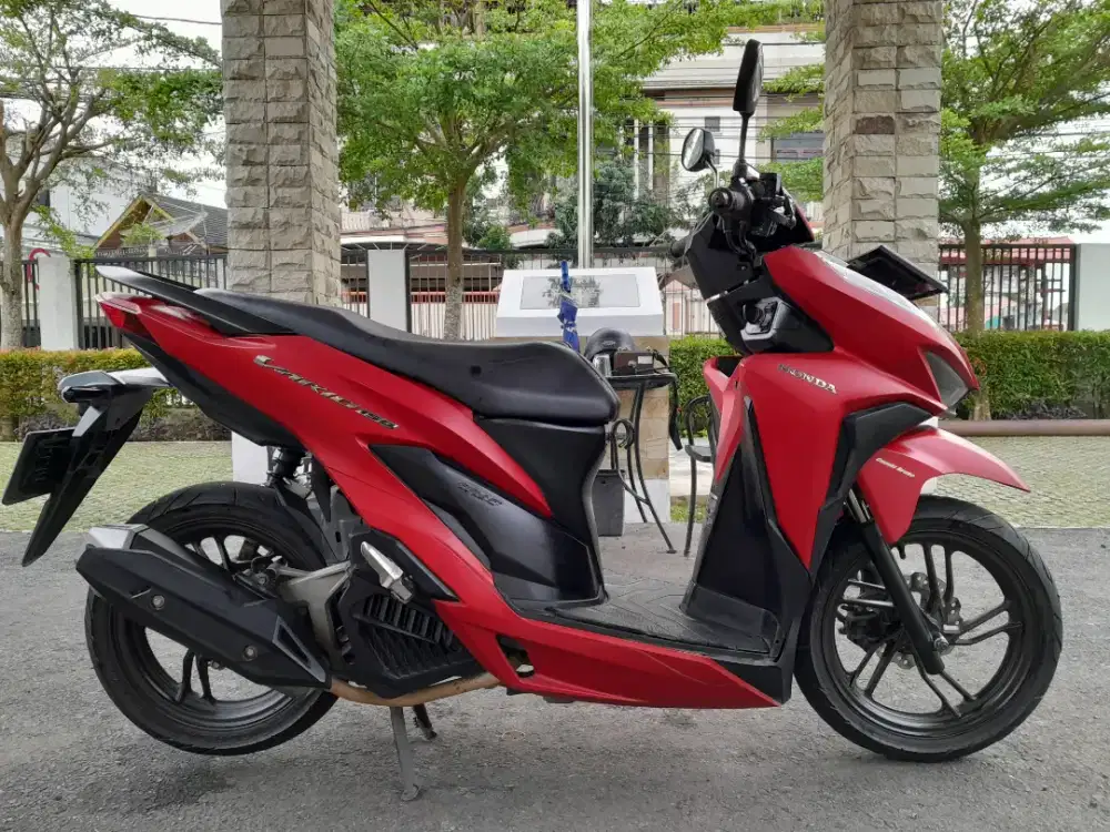 Motor vario 2018