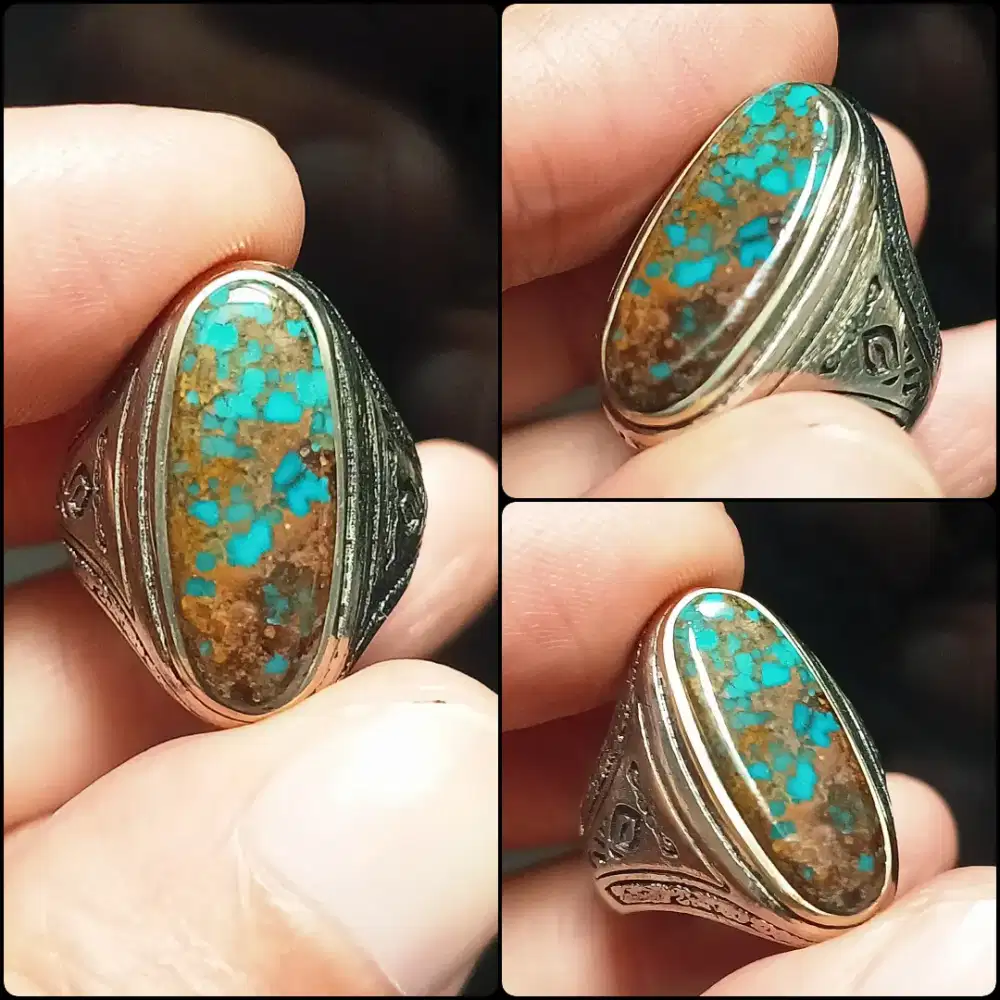 Pirus Persia Urat Emas Lawas