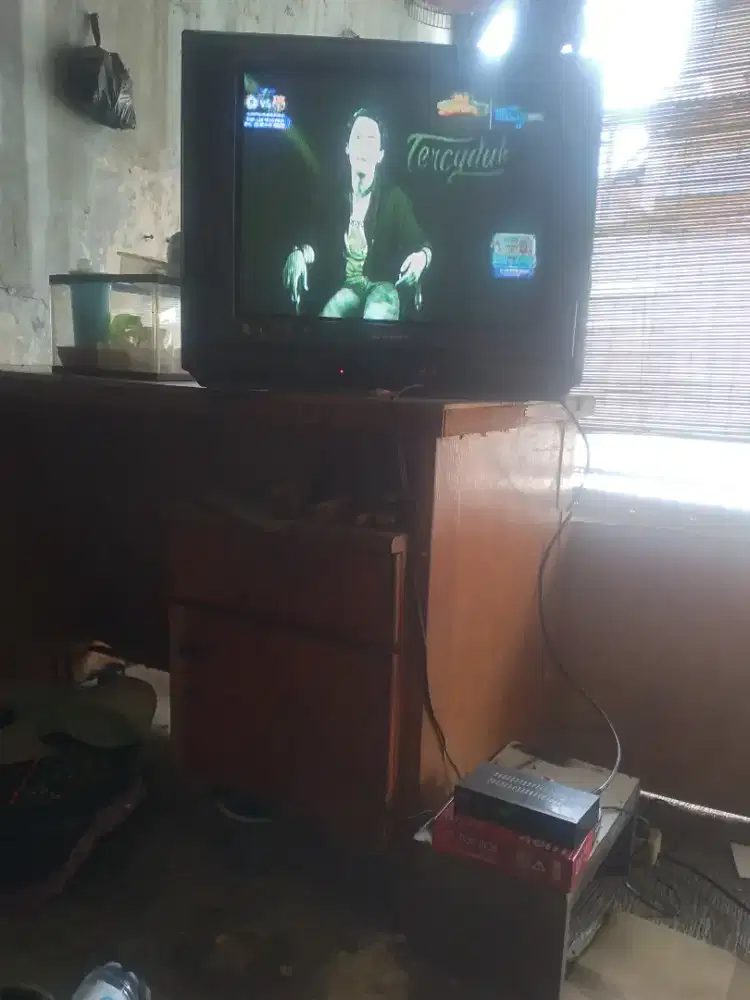 Tv Sharp Piccolo 21 inchi flat