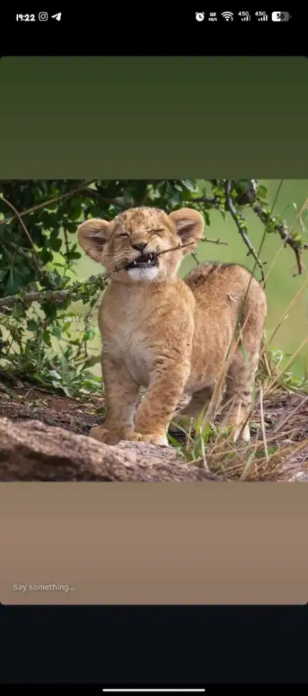 Di cari momong anak 3 tahun dan serabutan