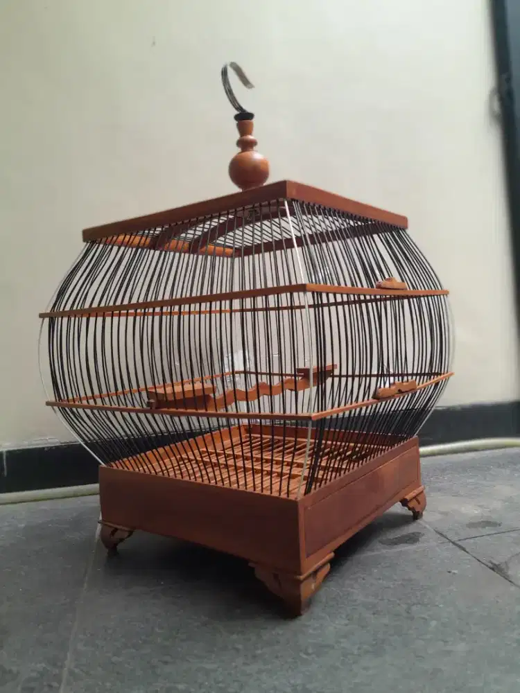 Sangkar derkuku/ puter pelungi