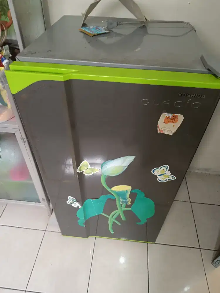 Kulkas polytron 1pintu