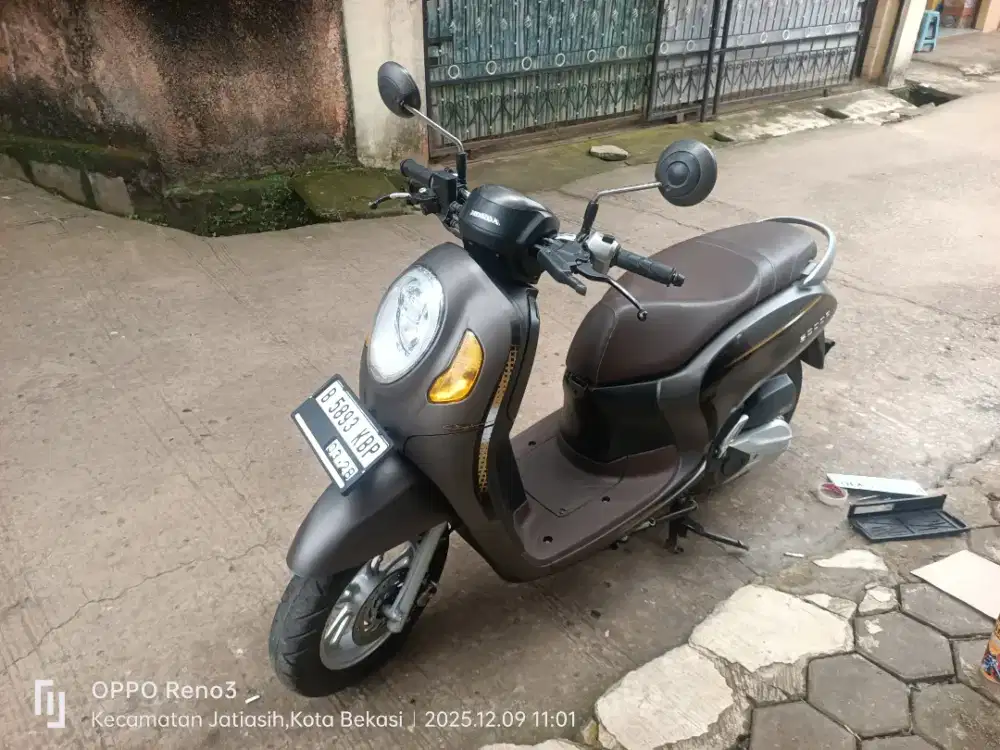 Scoopy 2023 pajak hidup