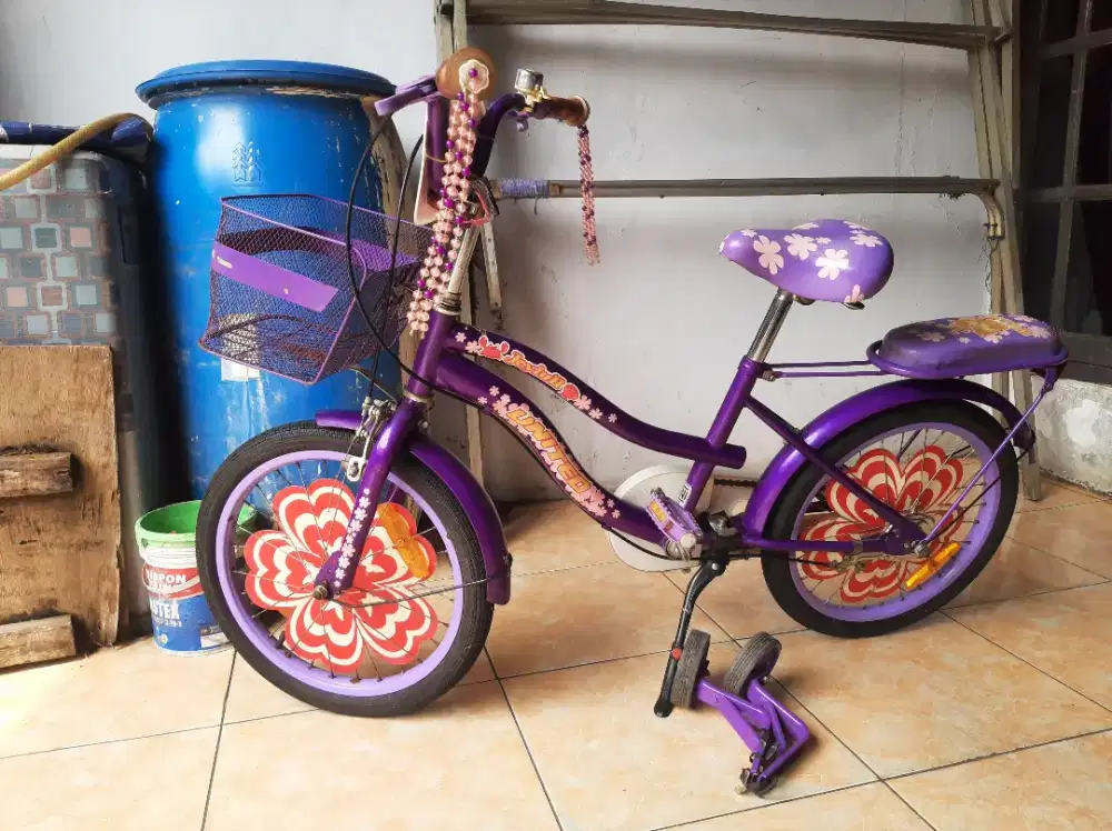 Sepeda anak 18 inc merk Unted Joyfull