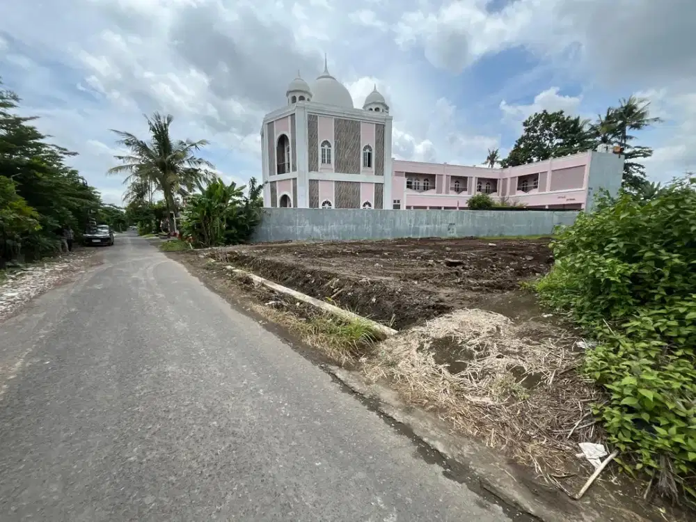 Dekat Kampus Sanata Dharma Maguwo Jogja, Tepi Jalan Aspal