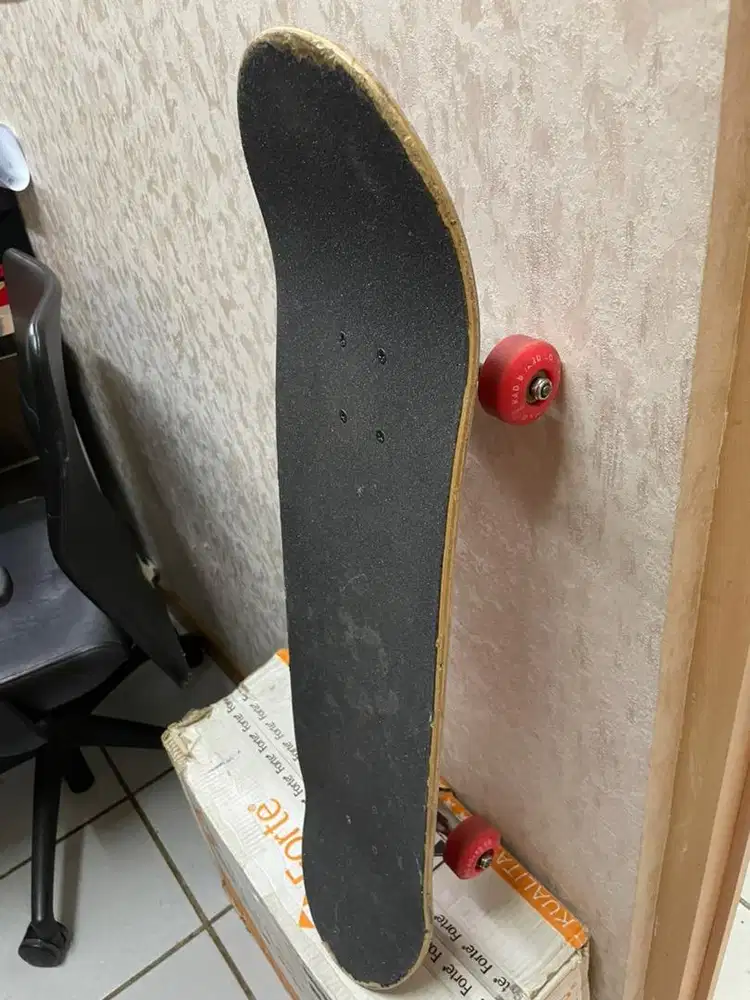 Skateboard Rad board co