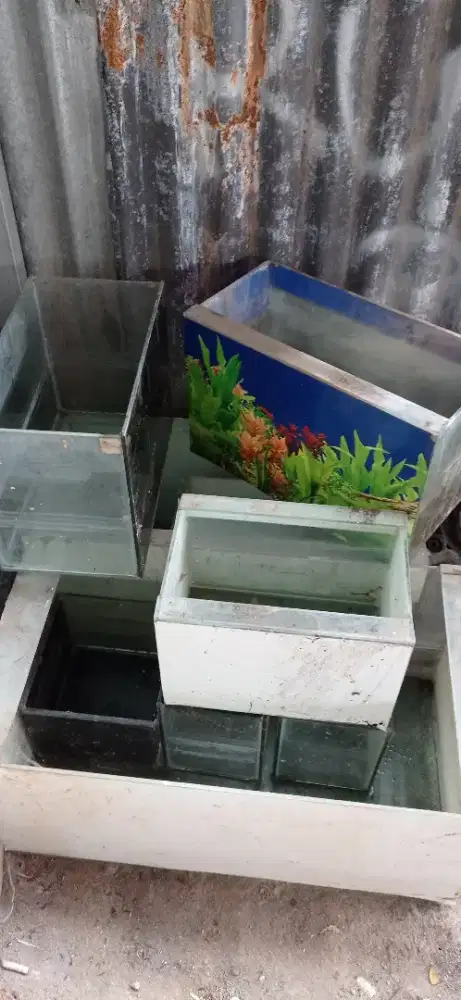 Aquarium kaca 5 mm