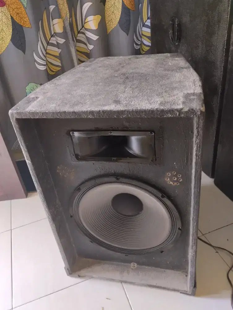 Spiket 15 inch plus  bok