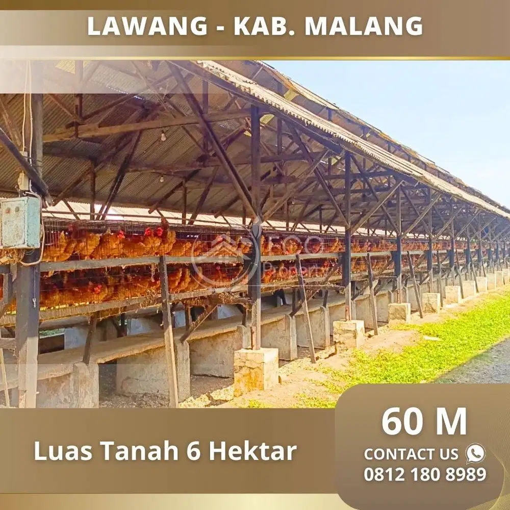 Dijual Kandang Ayam Petelor Lokasi Lawang Malang
