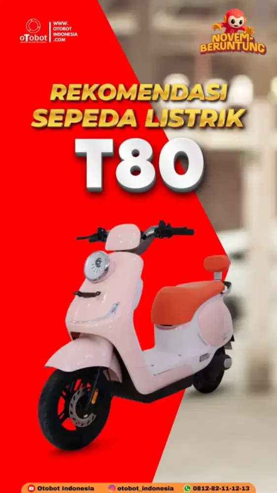 SEPEDA LISTRIK T80