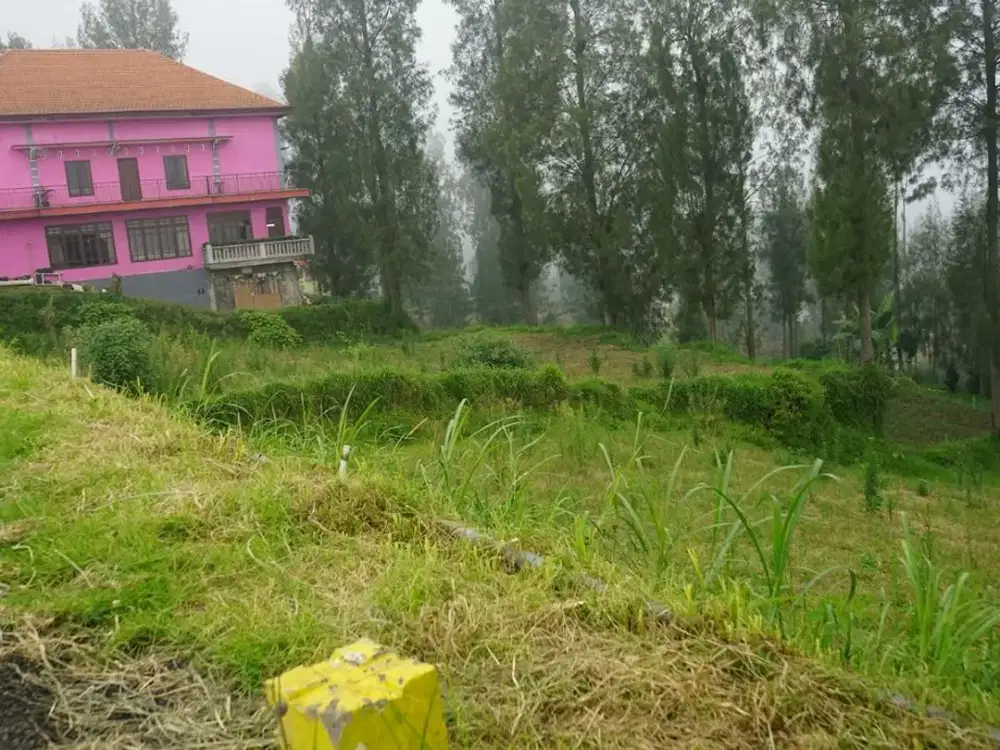 Dijual Cepat Tanah Strategis Harga Nego Dekat Rest Area Tosari Jawa Timur