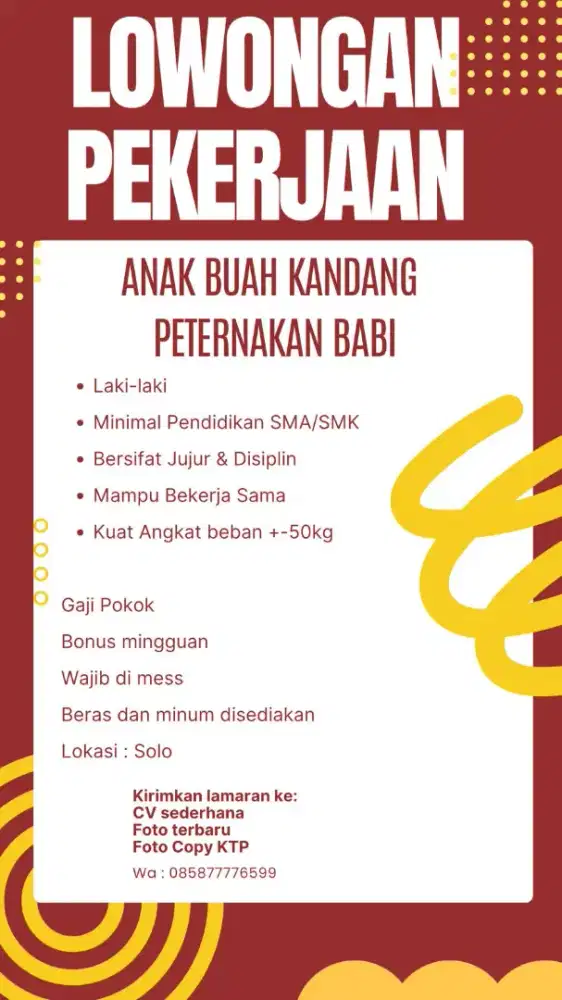 Lowongan Pekerjaan ABK Babi