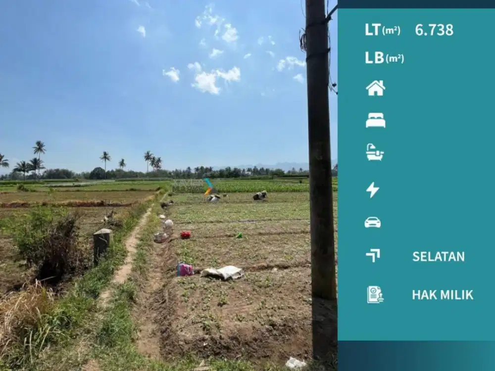 Dijual Cepat Tanah Pertanian Poros Jalan Banjarejo Pakis Malang