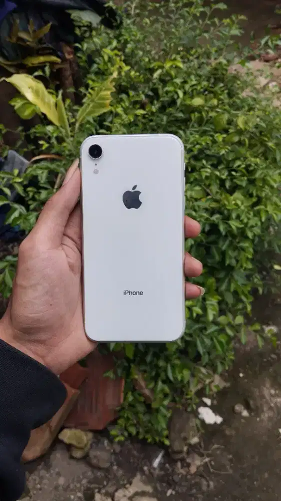 iPhone XR 64gb Resmi iBox