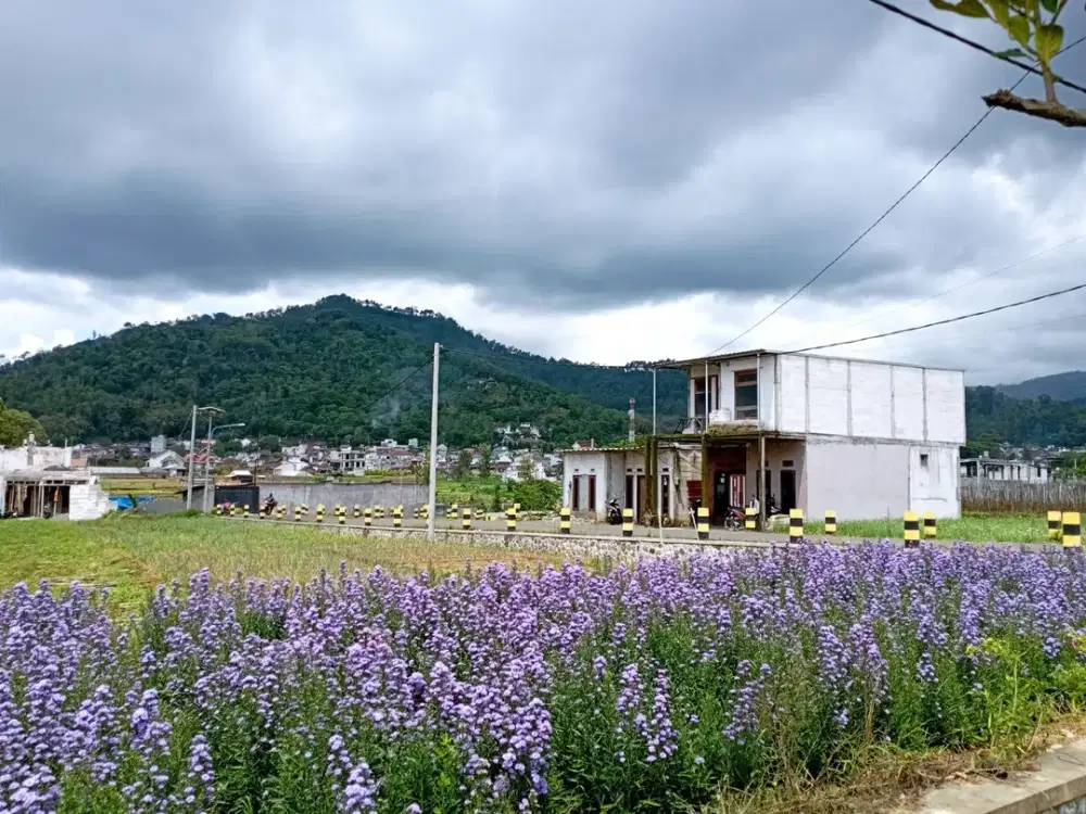 Free Kolam Renang Instrumen Investasi Paling Aman Lokasi Strategis