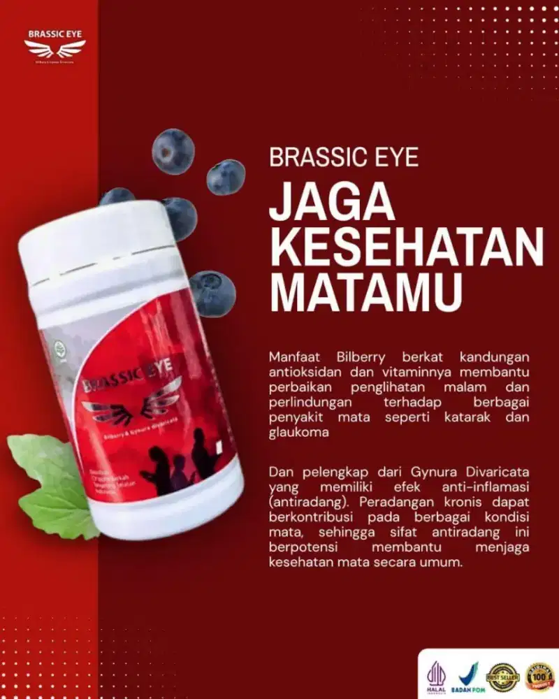 Brassic eye untuk mata