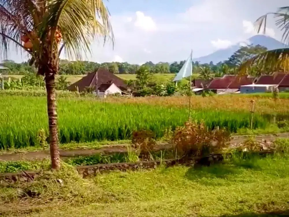 Dijual/Disewakan Tanah View Sawah dan Gunung di Tabanan
