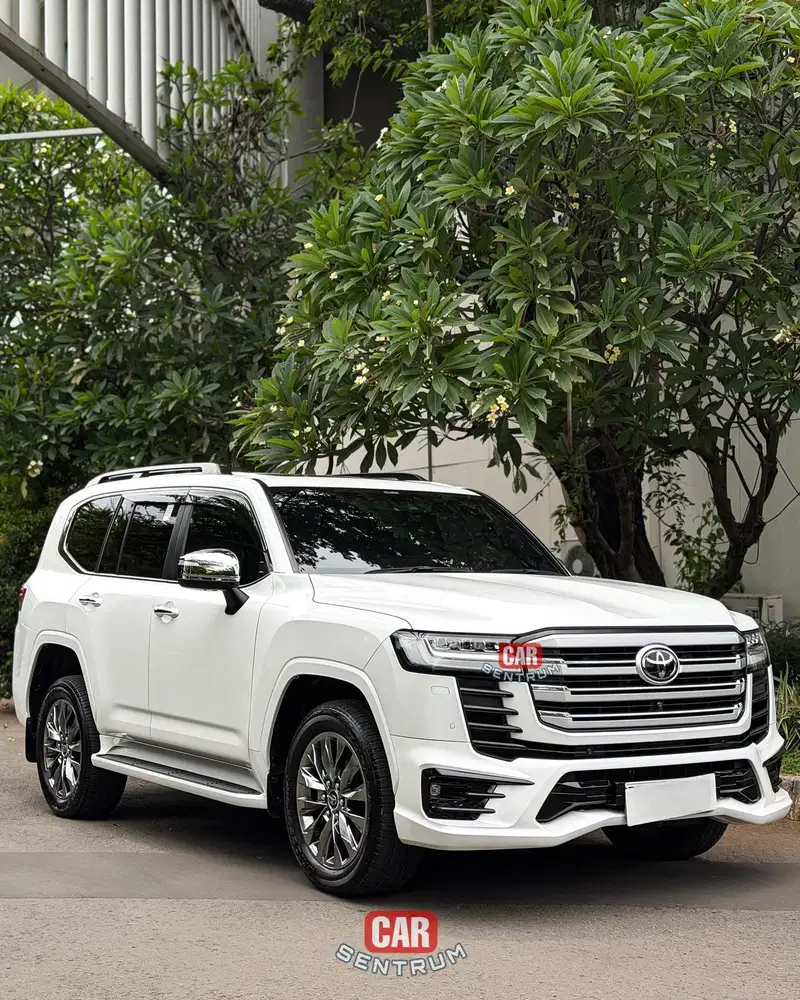 Land Cruiser 300 VX-R 4x4 2024