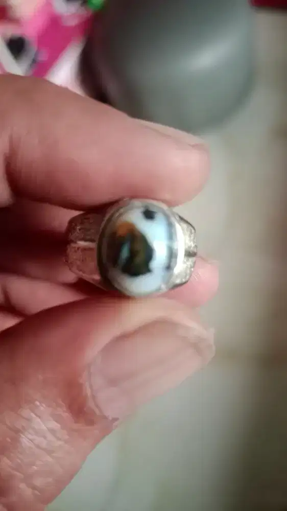 Kalimaya susu banten unik