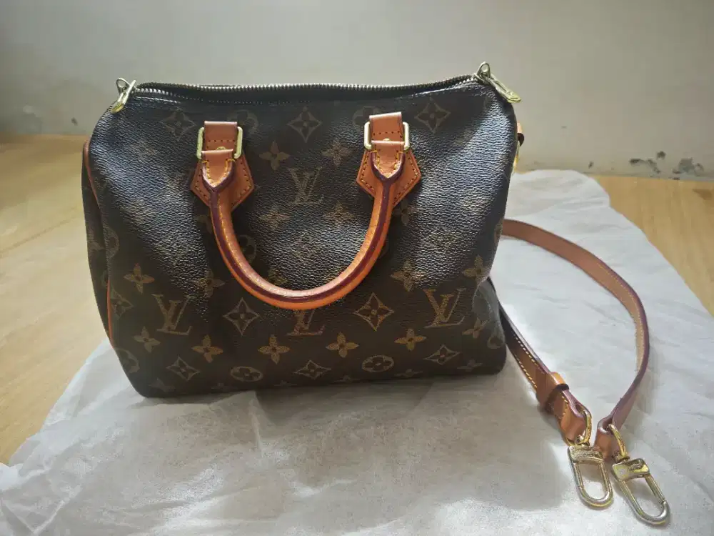 Tas LV Ball Thrifting