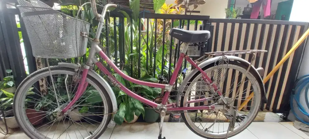 Sepeda United Classic 24