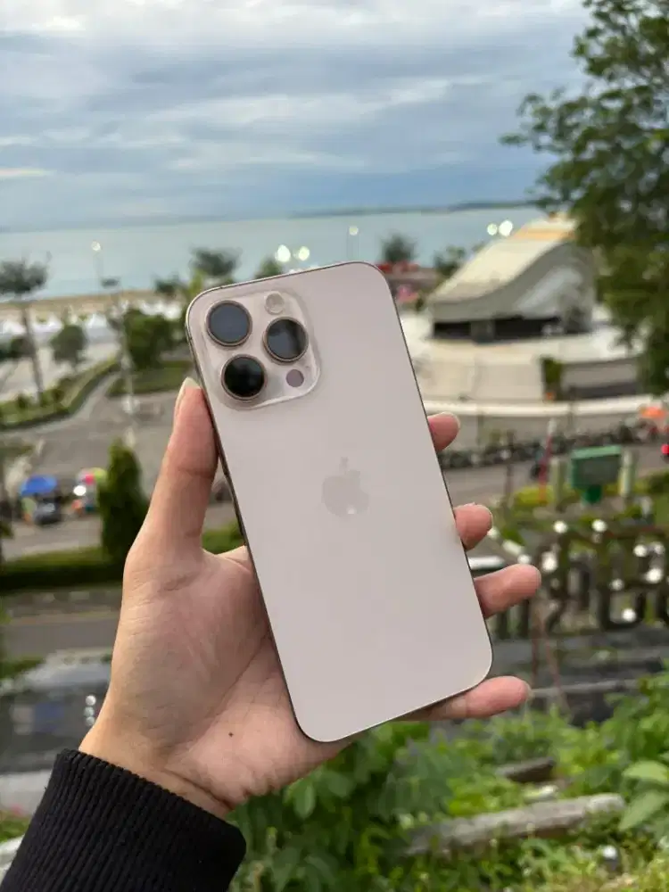 iPhone 16 pro max 256gb