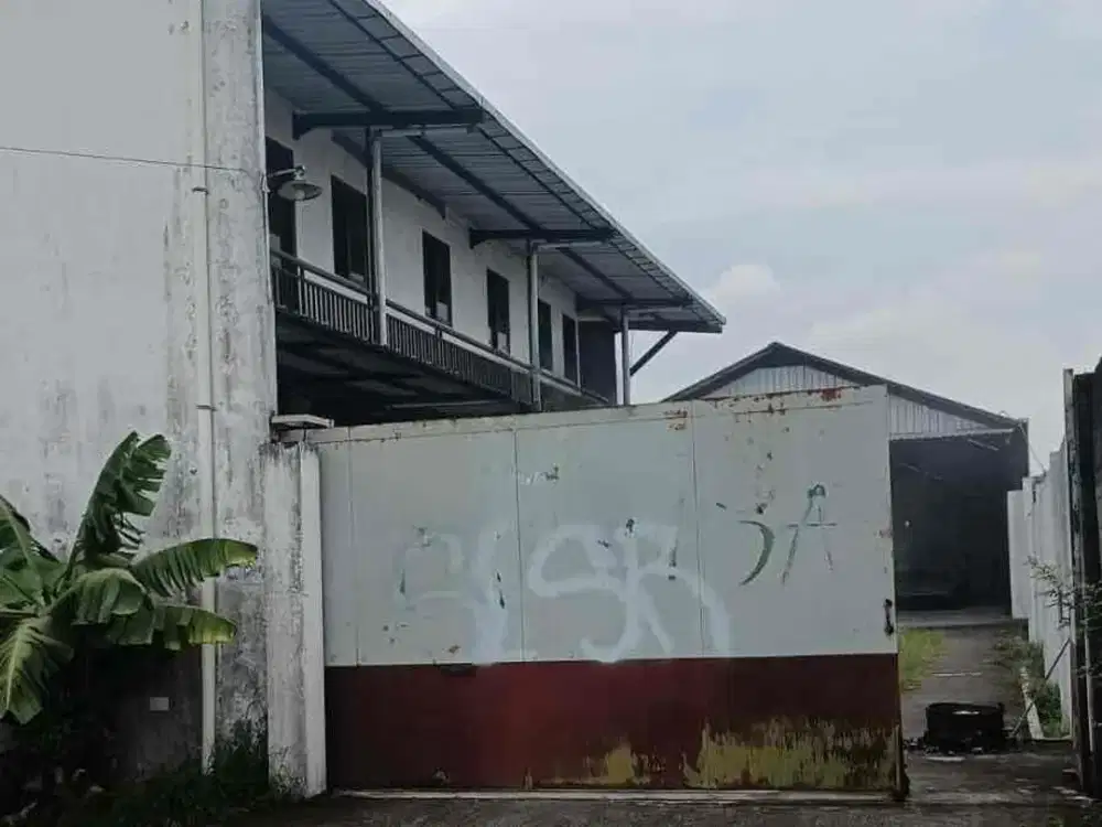 Di sewakan gudang + kantorr