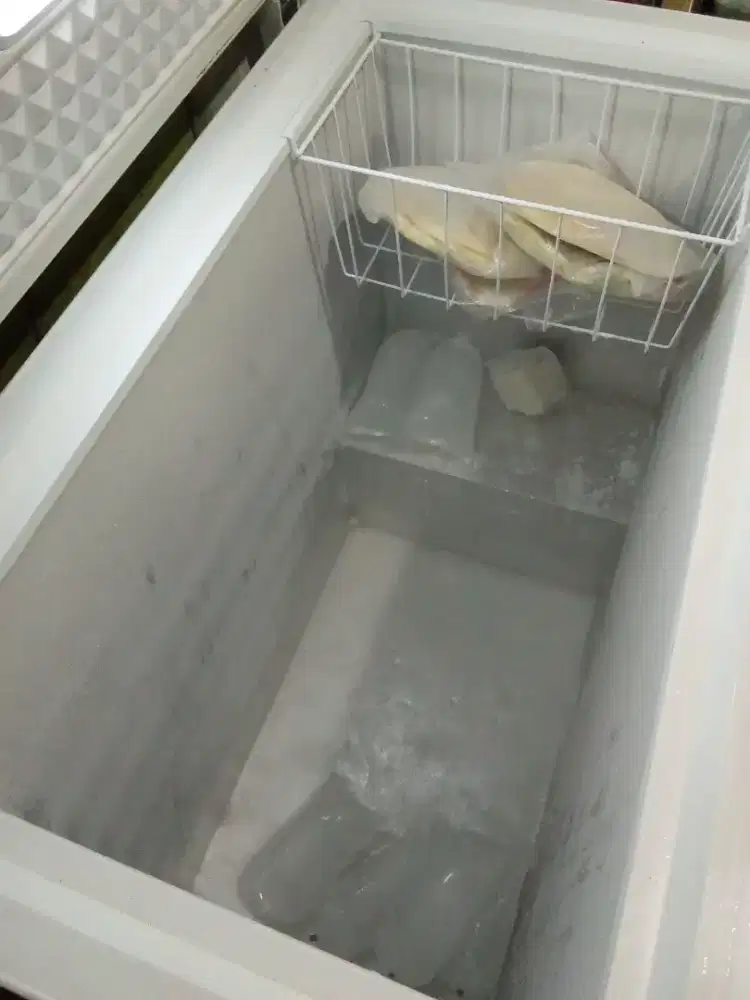 Freezer Polytron 200 Liter