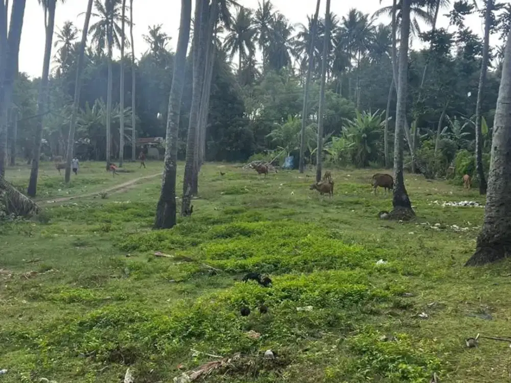 Tanah pinggir jalan Raya Senggigi dekat Qunci villa resort