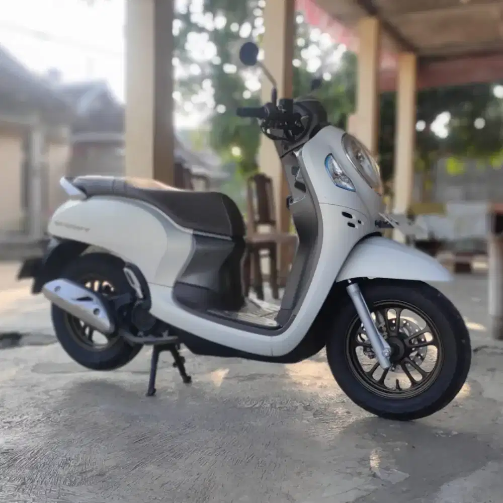 Honda Scoopy prestige 2024