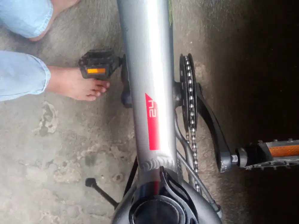 Polygon relic 24inci