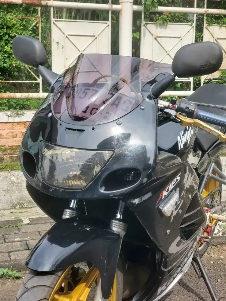 Kawasaki ninja rr old 2011