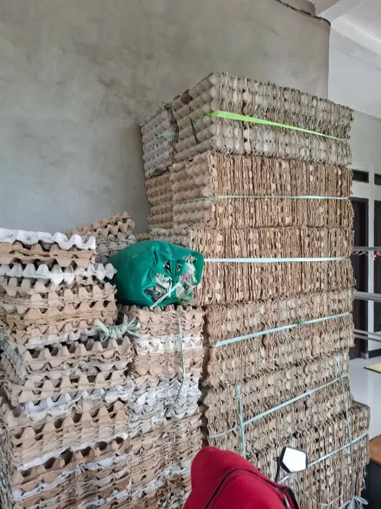 Tray telur bekas berkualitas
