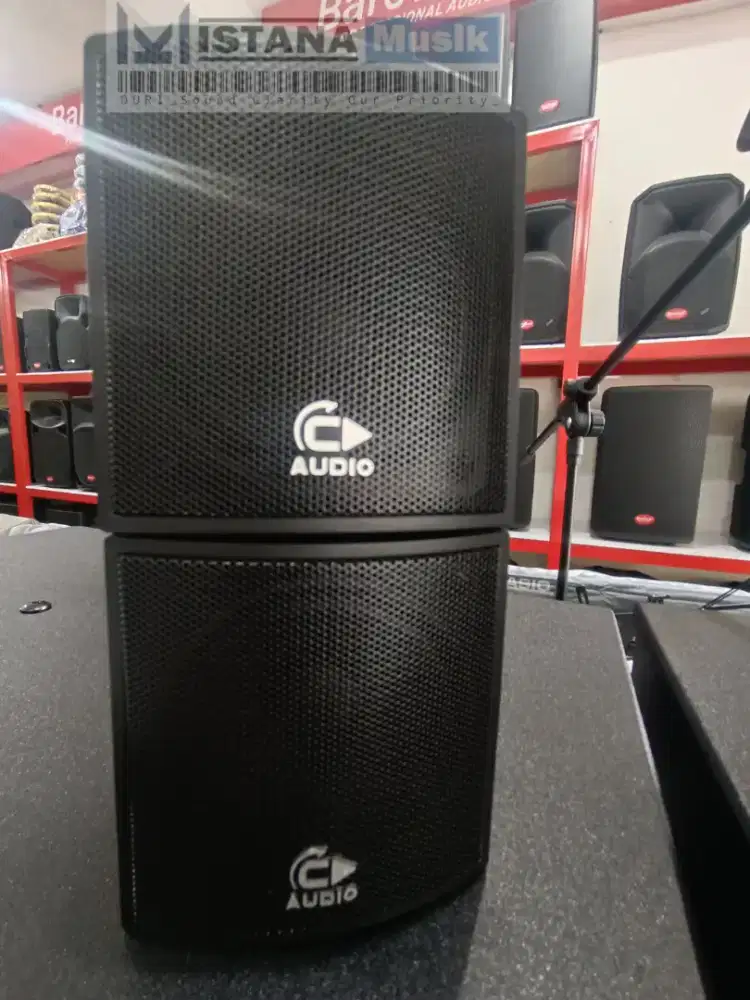 C AUDIO 2- WAY SPEAKER SYSTEM