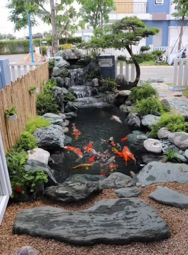 Jasa pembuatan kolam ikan koi