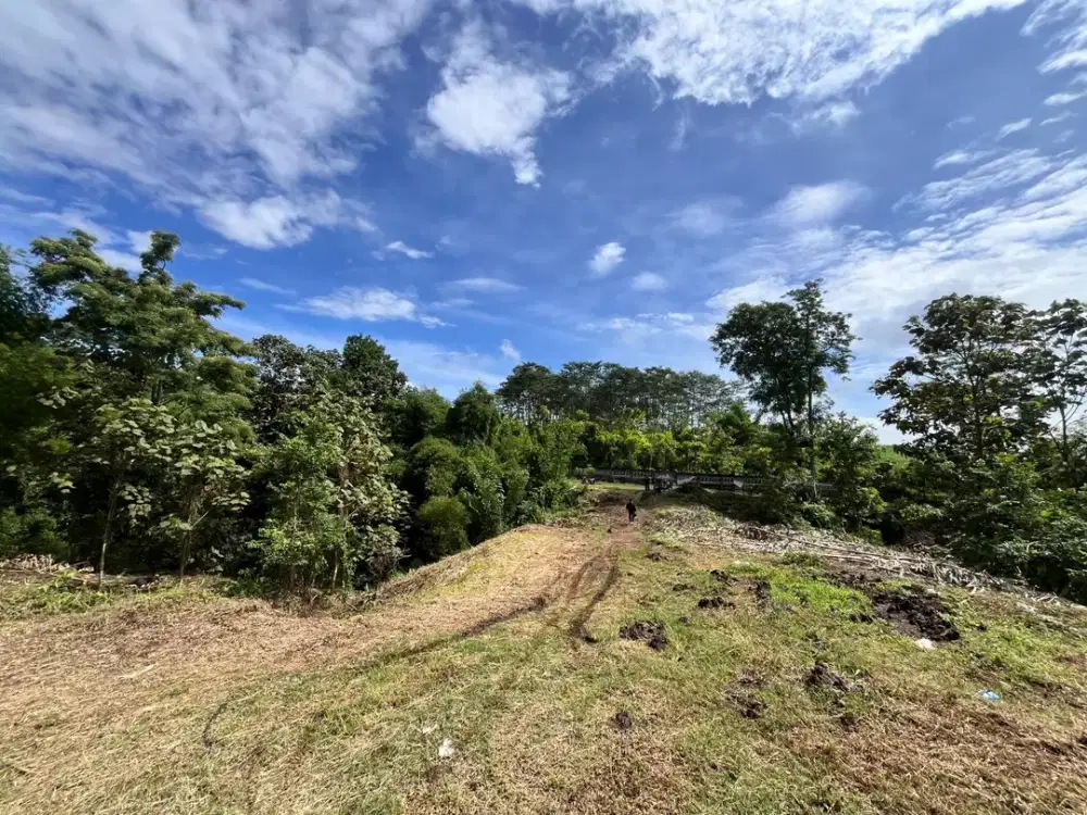 Kavling Spesial Wagir Hillside Lokasi Strategis Sertipikat Hak Milik