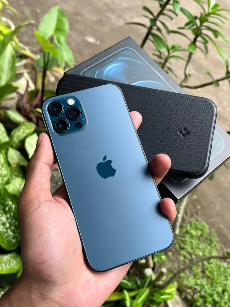 Iphone 12 Pro 256 Resmi Beacukai