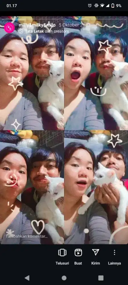 JASA MERAWAT KUCING & PENITIPAN KUCING & CAT SITTER DLL