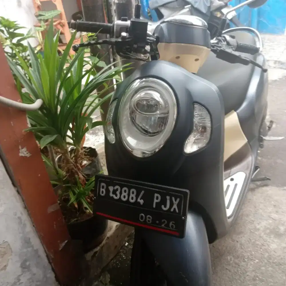 Dijual motor Honda Scoopy nego