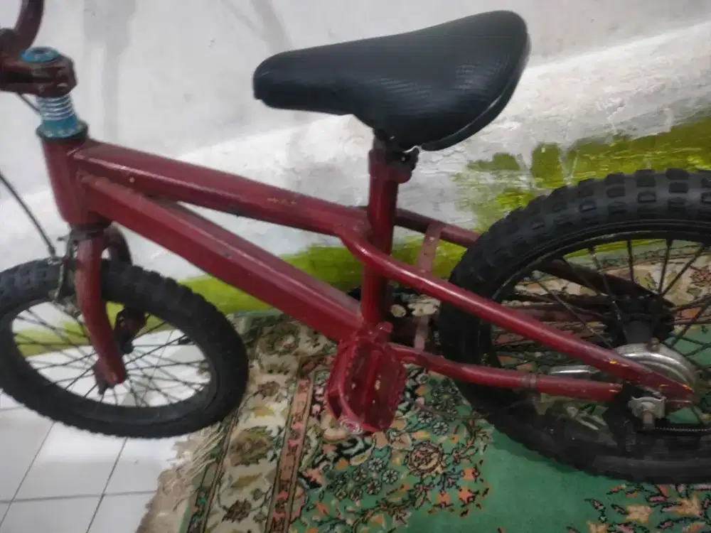 jual sepeda anak