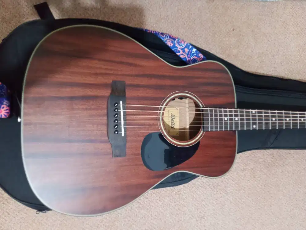 Gitar akustik Delta