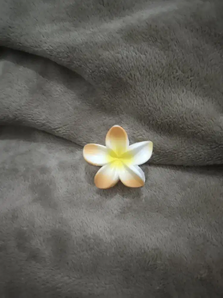 Jepitan Bunga Menarik