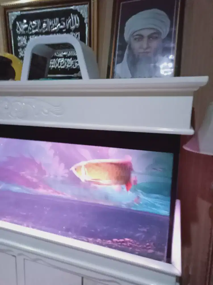 Jual ikan arwana red  45 cm + aqurium