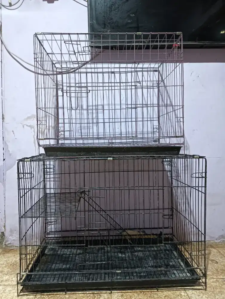 AMBIL SEMUA KASIH MURAH