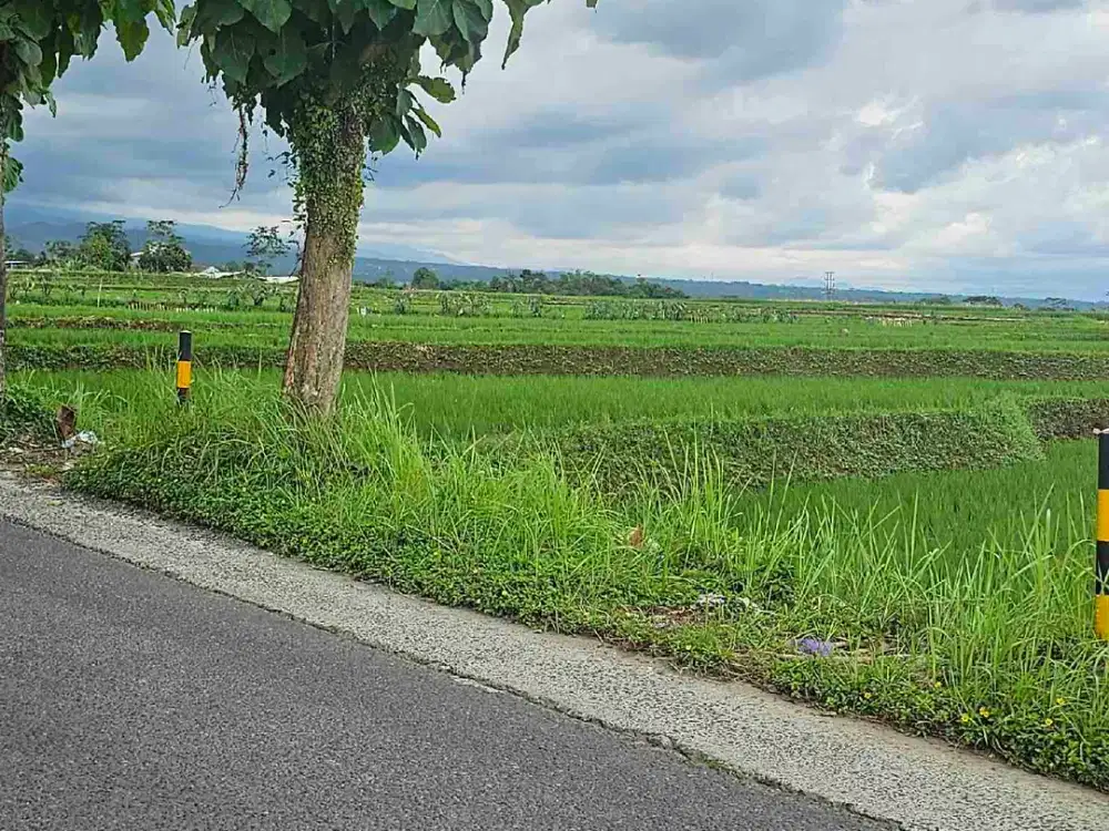 Dijual tanah strategis di deket kampus Unsoed Purwokerto Jawa Tengah