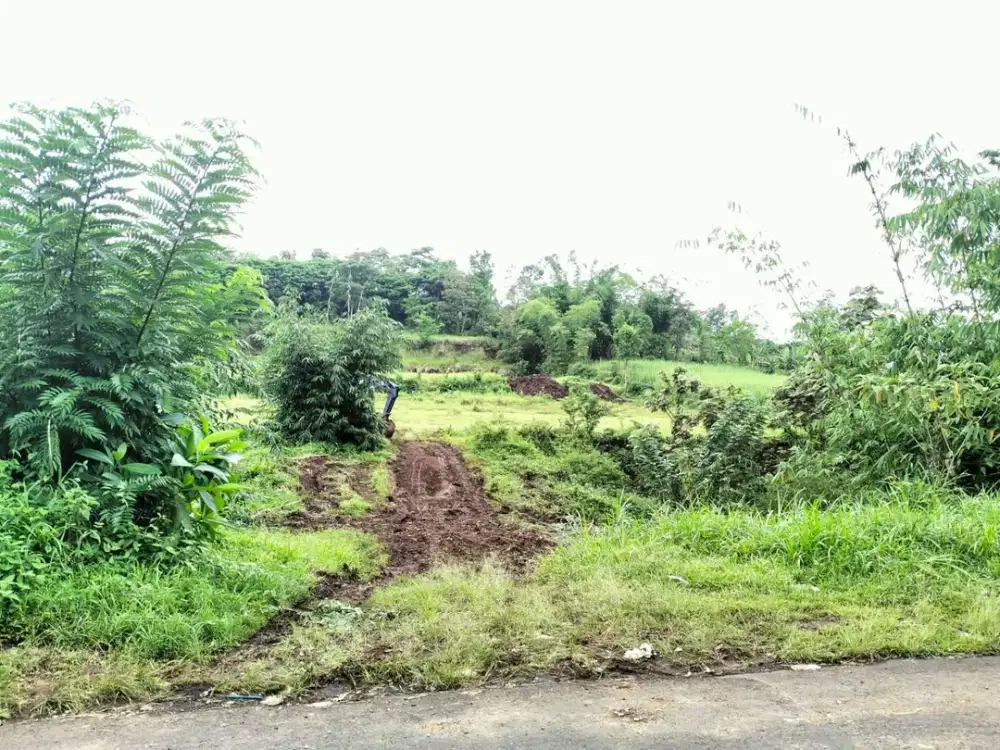 Tanah Wagir Legalitas Aman 100 Juta