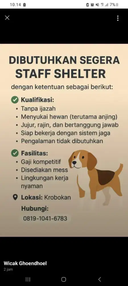 Staf shelter anjing