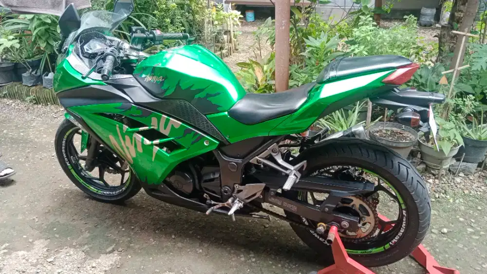 Ninja 250 19,000,000