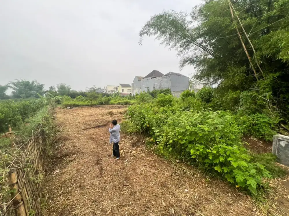 Dijual Bebas Banjir 3 Menit Thursina IIBS Tanah Kavling